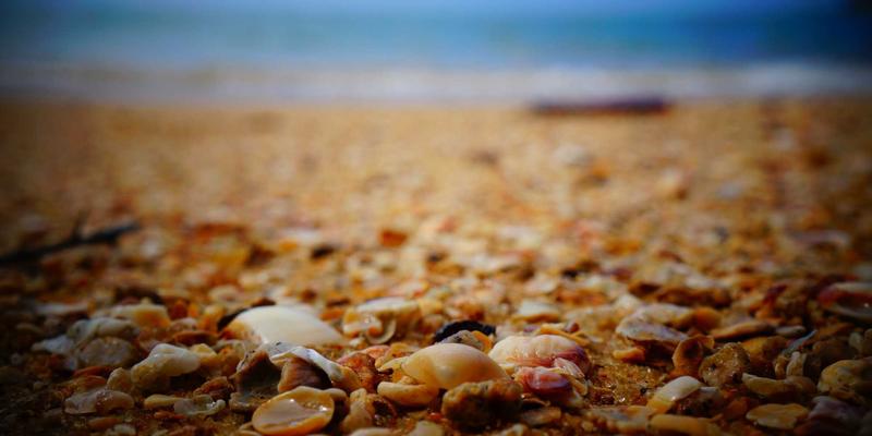 数字化转型浪潮下,中小企业如何借助专业IT服务实现弯道超车?