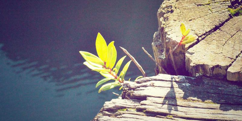 浩森科技安全指南：云原生环境下的应用安全与合规性最佳实践