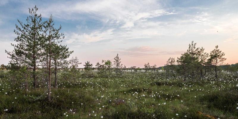 浩森科技:构建高可用性与高并发系统的架构设计原则与关键技术选型